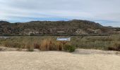 Excursión Senderismo Elche - Barrage  - Photo 1