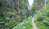 Tour Wandern Weismes - Prak beer brune - Photo 6