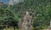 Tour Wandern Sahorre - Haut Cady_col de Jou_Mora_Mariailles_T - Photo 1