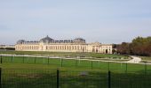 Randonnée Marche Coye-la-Forêt - Chantilly Etanf reine Blanche - Photo 3