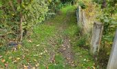 Tour Wandern Namen - Malonne 151024 - Photo 5