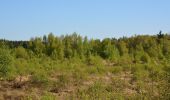 Tour Zu Fuß Fockbek - Rundweg Fockbeker Moor - Photo 5