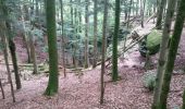 Percorso Mountainbike Bertrambois - sortie vtt du 20052018 - Photo 15