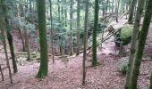 Trail Mountain bike Bertrambois - sortie vtt du 20052018 - Photo 15