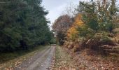 Tocht Stappen Theux - tour  des fermes. f airifagne . f wisselez . Mont . hodbomont . f st Remacle - Photo 13