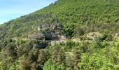 Randonnée Marche Massegros Causses Gorges - Au long du Tarn : Des Vignes à Mostuéjouls - Photo 11