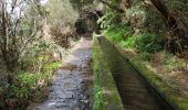 Trail Walking Calheta - 2025-03-29 rando 25 fontes et cascade du risco - Photo 1