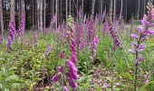 Randonnée Marche Sprimont - plain de fagne . rouge thier . adzeux - Photo 19