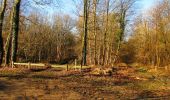 Randonnée Marche Vieux-Moulin - en forêt de Compiègne_25_les Tournantes du Mont Saint-Pierre - Photo 7