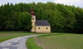 Trail On foot Gemeinde Jaidhof - 41 - Photo 1