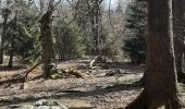Trail Walking Spa - barisart creppe évoque berinzenne geronstere barisart  - Photo 9