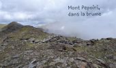 Randonnée Marche Valdeblore - Baus Frema, Tête du Brec et Mont Petoumier départ Colmiane - Photo 3