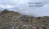 Tocht Stappen Valdeblore - Baus Frema, Tête du Brec et Mont Petoumier départ Colmiane - Photo 3