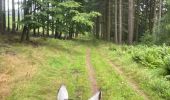 Trail Horseback riding Bastogne - Livarchamps 28 août 2021 - Photo 2