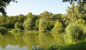 Tocht Te voet Vaihingen an der Enz - VE6 Bartenberg-Rundweg - Photo 3