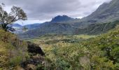 Tocht Stappen La Possession - Jour 5 la Réunion  - Photo 13