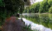 Trail Walking Enghien - Le Parc d'Enghien et ses jardins exceptionnels  - Photo 9