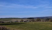 Tocht Stappen Stoumont - 20250309 - TOTEMUS RAHIER - - Photo 10