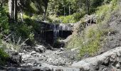 Tour Wandern Embrun - rando suf le mpny guillaume montée par le torrent de Marthe  descentr par la route forestière de bois de  Vezin   - Photo 15