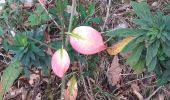 Trail Walking Chassagne-Saint-Denis - Chassagne st denis - Photo 18