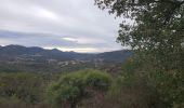 Tocht Stappen Montauroux - Le lac de Saint Cassien et la réserve biologique de Fondurane - Photo 1