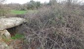 Tour Nordic Walking Octon - Octon Dolmens de Toucou - Photo 10