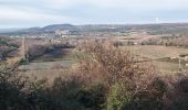 Trail Walking Chantemerle-lès-Grignan - Gym 14 01 22 - Photo 15