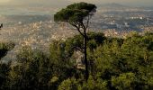 Tour Wandern Toulon - Uba - St Antoine - Point sublime - Sommet du Faron - Retour Uba - Photo 2