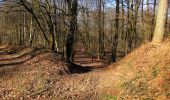 Percorso Marcia Retheuil - en forêt de Retz_76_dans les forêts de Retz et de Compiègne - Photo 2