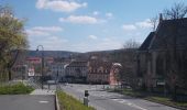 Tour Zu Fuß Naumburg (Saale) - Himmelreichweg alias Geopfad - Photo 8