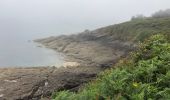 Trail Walking Saint-Coulomb - Pointe Meinga st Malo - Photo 4