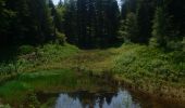 Tocht Stappen Ramonchamp - Ferdrupt / Les etangs noirs / Chalet Grammont / Chalet de l'alouette  - Photo 11