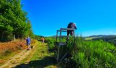 Excursión Senderismo Gedinne - Marche Adeps à Gedinne - Photo 14