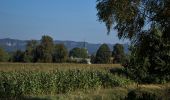 Excursión A pie Děčín - NS Kaňon Labe - Photo 6