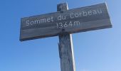 Excursión Senderismo Le Castellard-Mélan - MELAN . Col de Mounis  , sommet du Corbeau o l s - Photo 11