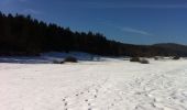 Tocht Te voet Bischbrunn - Schwarzer Fuchs, Rundwanderweg Weihersgrund am Sylvan - Photo 2