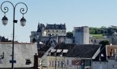 Excursión Senderismo Amboise - Amboise - À la découverte des trésors cachés - Photo 2