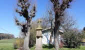 Tocht Te voet Kürten - Biesfeld Rundweg A2 - Photo 8