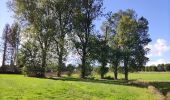 Tour Wandern Incourt - Promenade du Tumulus (6,1km)  - Photo 12