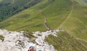 Tour Wandern Saint-Jacques-des-Blats - Puy Griou depuis le Col de Font de Cère - Photo 8