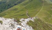 Tocht Stappen Saint-Jacques-des-Blats - Puy Griou depuis le Col de Font de Cère - Photo 8