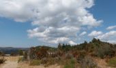 Tocht Stappen Plan-de-Baix - Canyon des Gueulards - Plateau du Vellan  - Photo 19