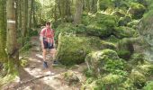 Tour Wandern Vexaincourt - Le charme mystérieux du lac de la Maix - Photo 5