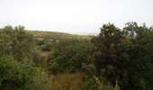 Trail Walking Monticello - boucle d'arbo - Photo 17