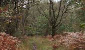 Tocht Stappen Châteaubourg - Forêt Marpiré  - Photo 4