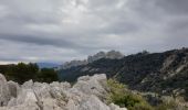 Tour Wandern Gigondas - Gigondas - Photo 3