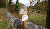 Trail Walking Noyant-de-Touraine - Noyant-de-Touraine - PR - 14.5km 170m 3h15 - 2021 02 20 - Photo 7