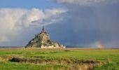 Tocht Te voet Saint-Georges-de-Gréhaigne - Découverte des polders - Photo 4