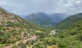 Tour Wandern Évisa - Corse 2023: Refuge de Puscaghia - Tuvarelli - Photo 4