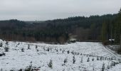 Randonnée Marche Bouillon - Cornimont 240123 - Photo 3